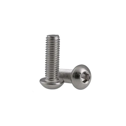 M2 x 4mm Button Head Allen Stainless Steel Bolt